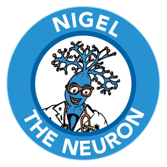 Nigel the neuron